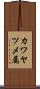 カワヤツメ属 Scroll