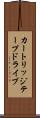 カートリッジテープドライブ Scroll