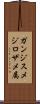 ガンジスメジロザメ属 Scroll