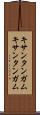 キサンタンガム Scroll