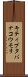 キティブタバナコウモリ Scroll