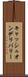 キャッシュオンデリバリー Scroll