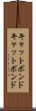 キャットボンド Scroll