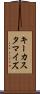 キーカスタマイズ Scroll