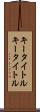 キータイトル Scroll