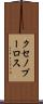 クセノプーロス Scroll