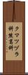 クマツヅラ科 Scroll