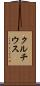 クルチウス Scroll