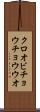 クロオビチョウチョウウオ Scroll