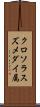 クロソラスズメダイ属 Scroll