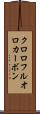 クロロフルオロカーボン Scroll