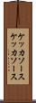 ケッカソース Scroll
