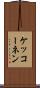 ケッコーネン Scroll