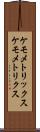 ケモメトリックス Scroll