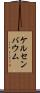 ケルセンバウム Scroll