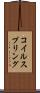 コイル・スプリング Scroll