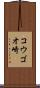 コウゴオ崎 Scroll