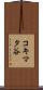 コキマタ谷 Scroll