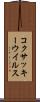 コクサッキーウイルス Scroll