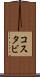コスタビ Scroll