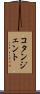 コタンジェント Scroll