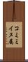 コミミイヌ属 Scroll