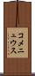 コメニュウス Scroll