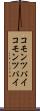 コモンツパイ Scroll