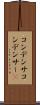 コンデンサ Scroll
