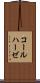 コールハーゼ Scroll