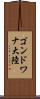 ゴンドワナ大陸 Scroll