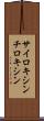 サイロキシン Scroll