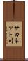 サカネット川 Scroll