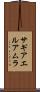サギアエルアムラ Scroll