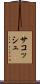 サコッシュ Scroll