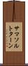 サマソルトターン Scroll