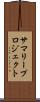 サマリープロジェクト Scroll