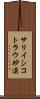 サリイシコトラウ砂漠 Scroll