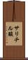 サリチル酸 Scroll