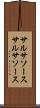 サルサソース Scroll