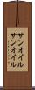サンオイル Scroll