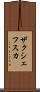 ザクシェフスカ Scroll