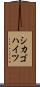 シカゴハイツ Scroll