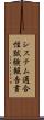 システム適合性試験報告書 Scroll
