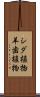 シダ植物 Scroll