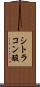 シトラコン酸 Scroll