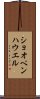 ショオペンハウエル Scroll