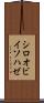 シロオビイソハゼ Scroll