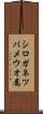 シロガネツバメウオ属 Scroll