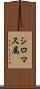 シロマス属 Scroll